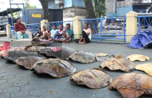 Nelayan Asal Halmahera Timur Dibekuk Polairud Polda Malut
