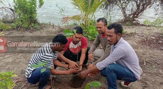PB-HIPPMMORO Bersama Kelompok Sadar Wisata Lakukan Penanaman Pohon Ketapang di Desa Galo-Galo
