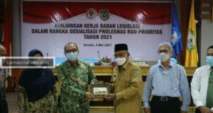 Harapan Wakil Gubernur Malut saat Sosialisasi Prolegnas RUU Prioritas Tahun 2021