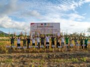 Lampaui Produktivitas Nasional, Petani Binaan Harita Nickel Sukses Panen Perdana Kedelai 2,9 Ton Per Hektar