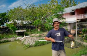 Cerita Petani Binaan Harita Nickel yang Sukses Jadi Pemasok Bahan Pangan