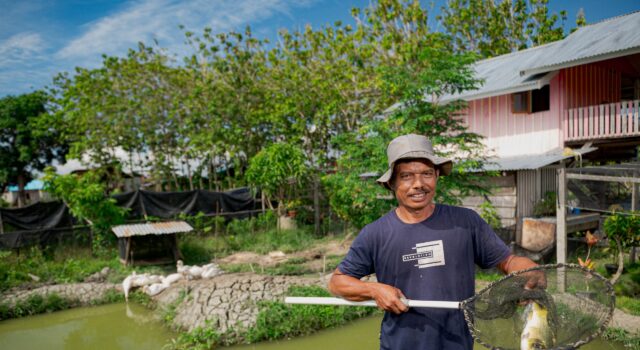 Cerita Petani Binaan Harita Nickel yang Sukses Jadi Pemasok Bahan Pangan