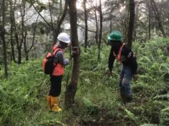 Menjaga Warisan Alam Obi: Harita Nickel Lestarikan Flora dan Fauna Endemik lewat Pemantauan dan Edukasi Karyawan
