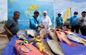 Obi Fishing Tournament 2025: Tangkapan Ikan Melimpah, Produktivitas Perairan Kawasi Terjaga